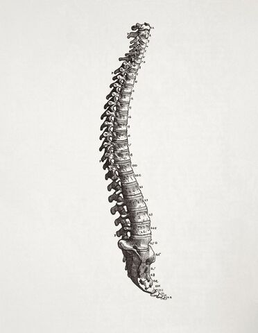 Has life gotten heavier or have we gotten weaker?